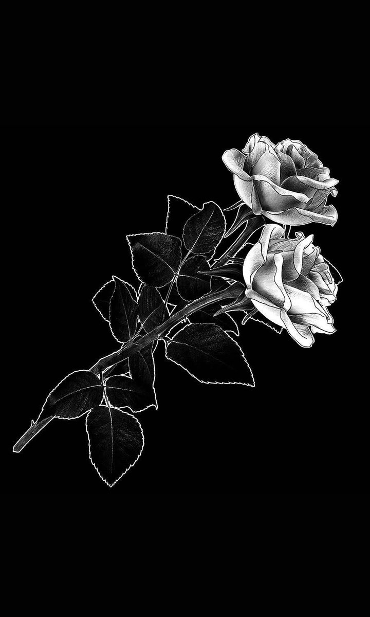 美月ふある@ロゴ&ボイス公開チャレンジ中！ tweet media