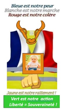 GarretDom tweet media