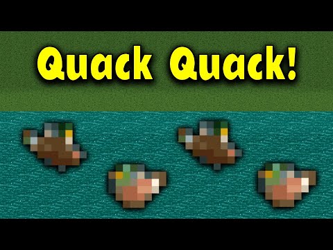 Belleciste tweet media