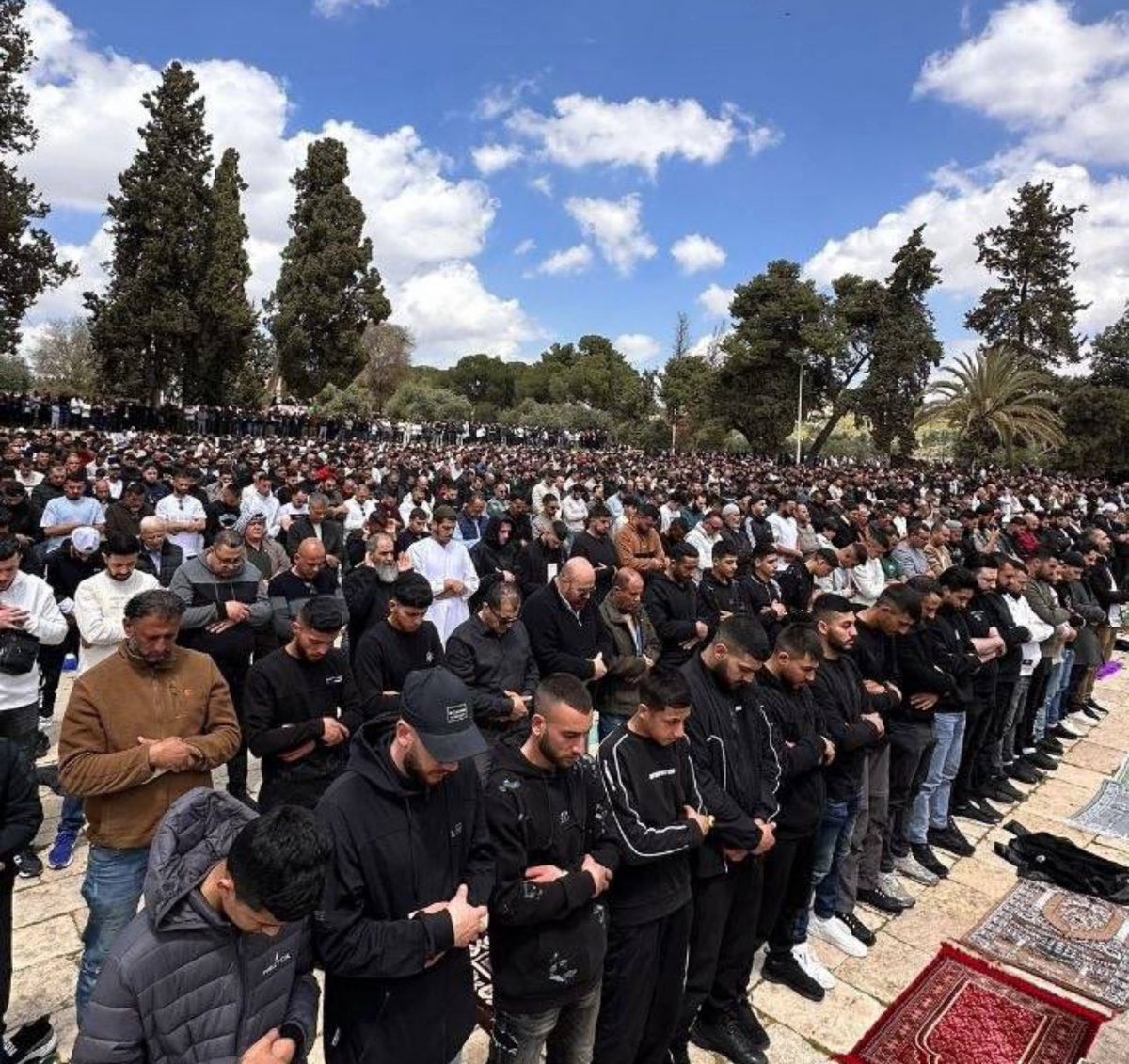 شـام tweet media