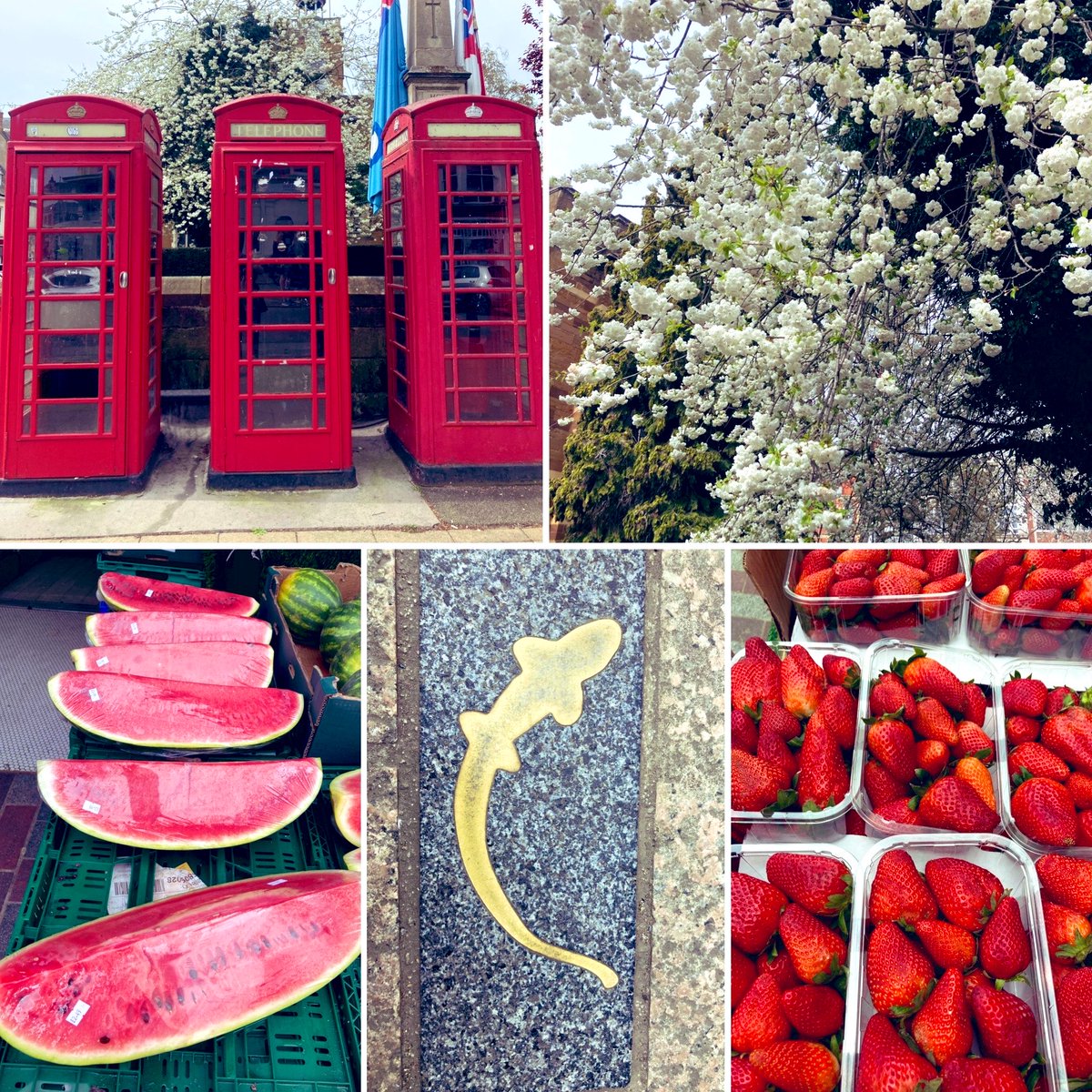 Charlotte Morgan tweet media