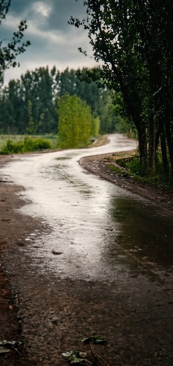 justpsychauthor's tweet photo. Sometimes the road feels empty, quiet, and uncertain… but that’s exactly when we learn to keep moving forward — one step at a time.
Even on the wettest, muddiest paths, there’s beauty in the journey.
Just keep going.
#MentalHealthAwareness #KeepGoing #YouMatter #HealingJourney https://t.co/7NIjCBXaPn