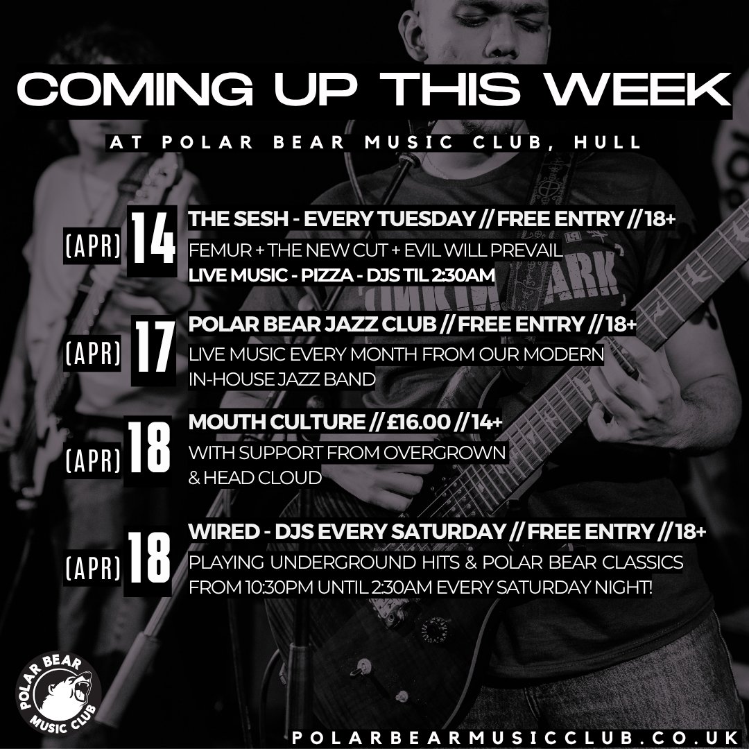 Polar Bear Music Club tweet media