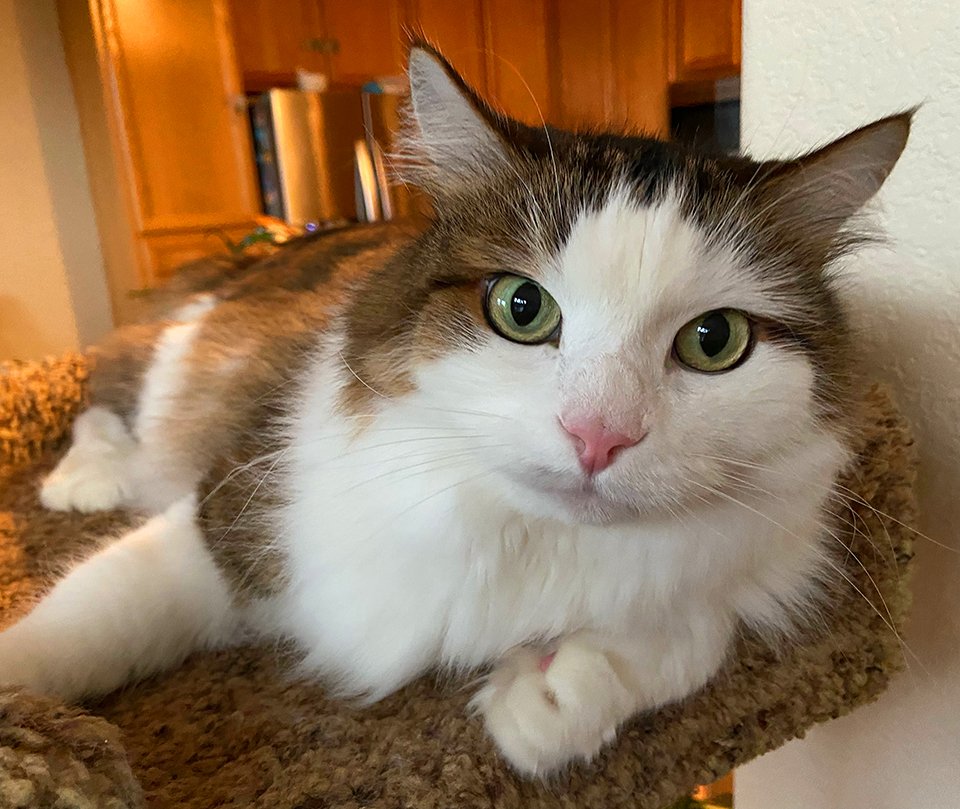 mimi ୨ৎ tweet media