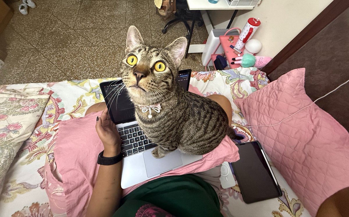 mango chilli tweet media