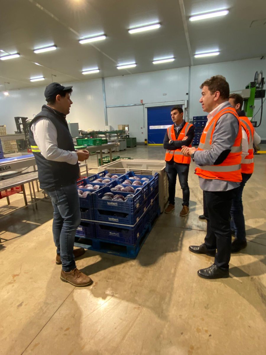 GVA Agricultura, Agua, Ganadería y Pesca tweet media