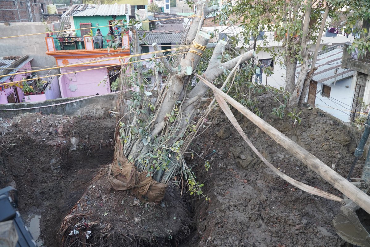 nitin_gadkari's tweet image. A powerful testament to how a 1⃣8⃣8⃣-year-old #BanyanTree can thrive alongside modern development!🌳

Heartiest congratulations to the Nagpur Municipal Corporation, environmental consultant Dilip Chinchmalapure Ji, Dr. Vilas Yevle Ji, and the entire team for successfully