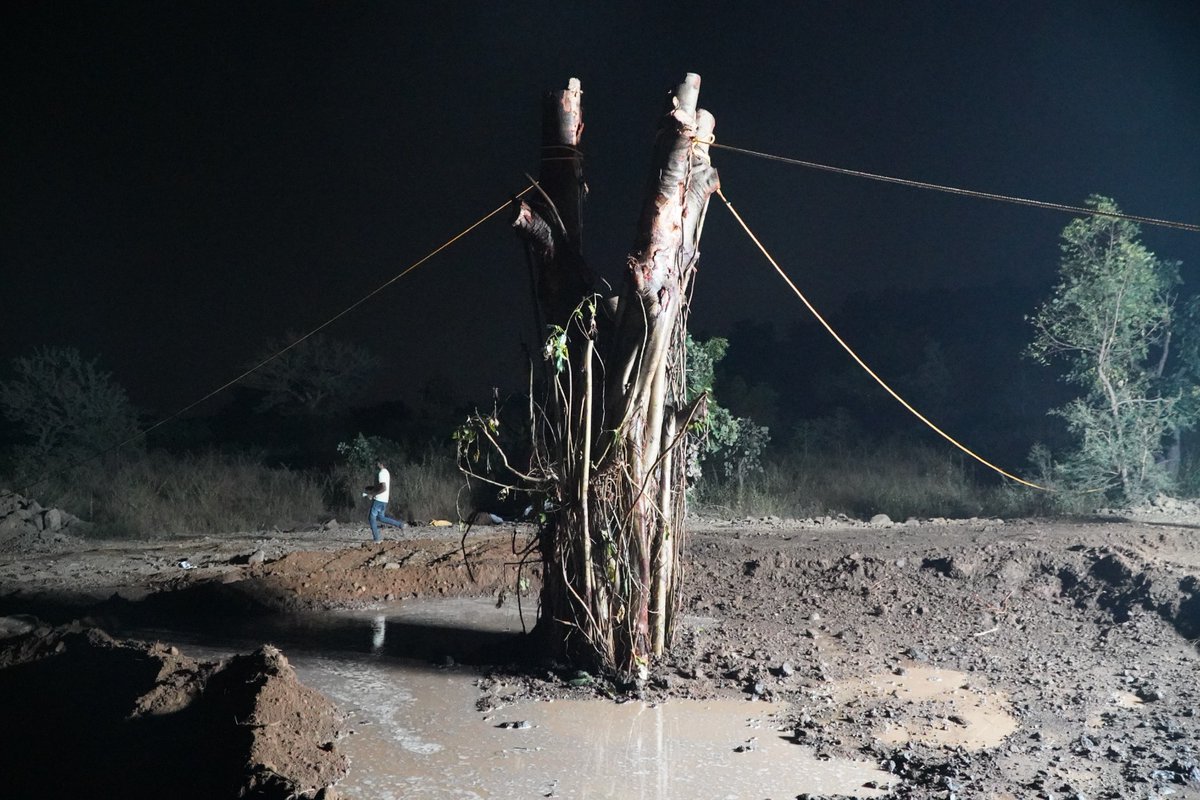 nitin_gadkari's tweet image. A powerful testament to how a 1⃣8⃣8⃣-year-old #BanyanTree can thrive alongside modern development!🌳

Heartiest congratulations to the Nagpur Municipal Corporation, environmental consultant Dilip Chinchmalapure Ji, Dr. Vilas Yevle Ji, and the entire team for successfully
