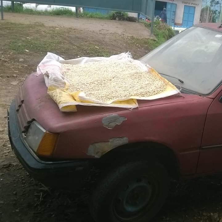 mochieng30's tweet photo. @iam_papa_d @Kenyans https://t.co/SAmBSNHJ8u