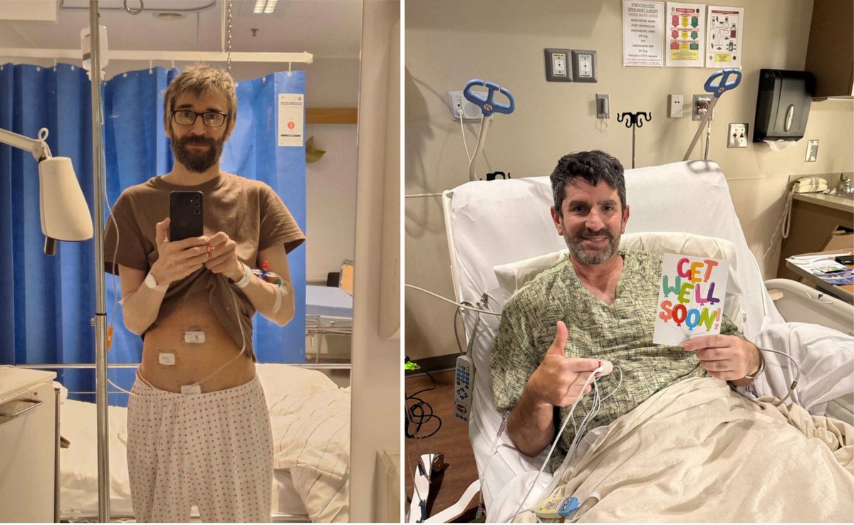 X Freeze tweet media