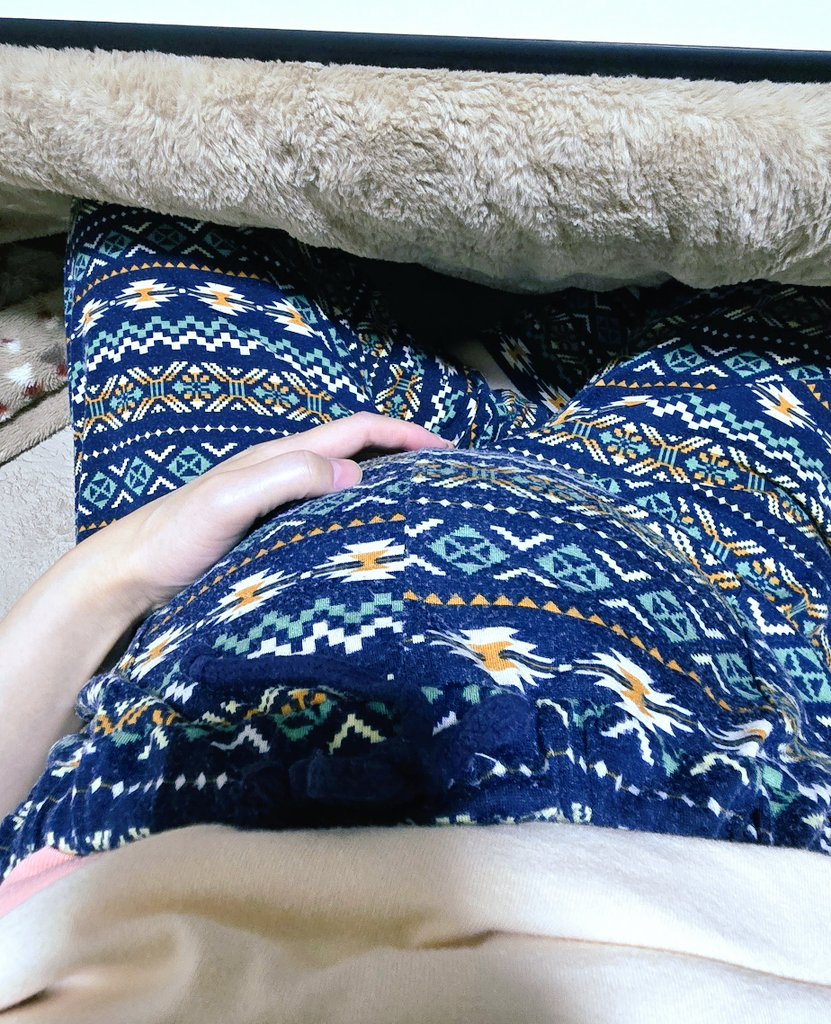 ハムオ🐹 tweet media