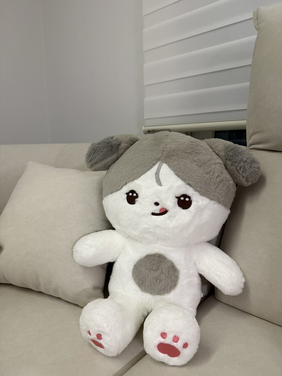 𝗺𝗶𝗼••• tweet media