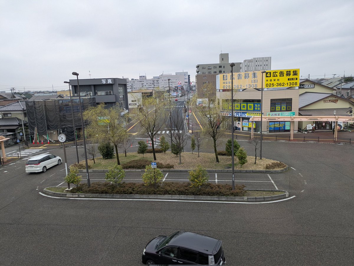 新潟市を観察 tweet media