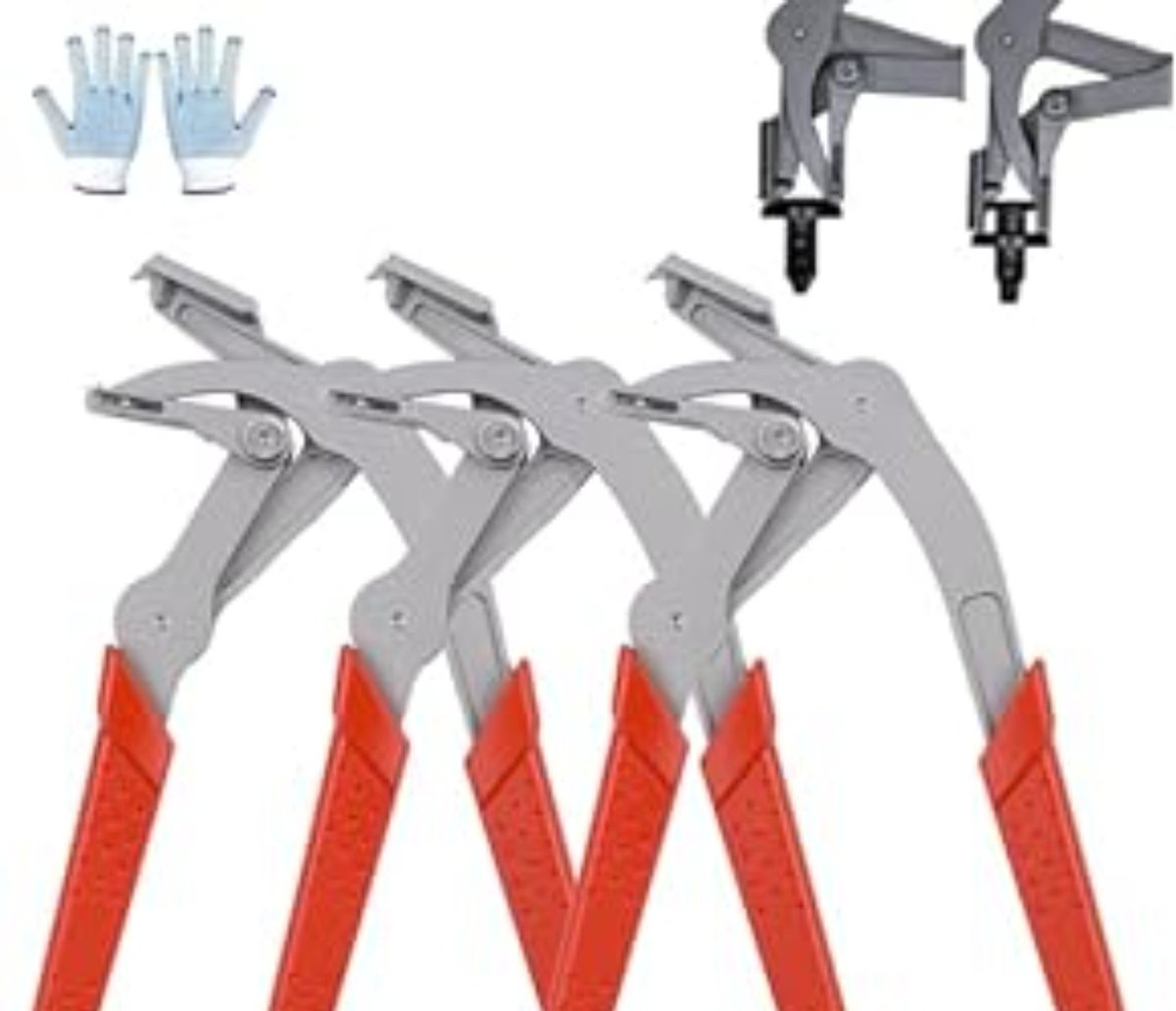 محمدبن علي #اليمن 🇾🇪 tweet media