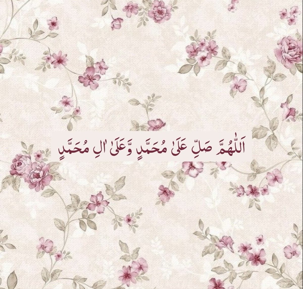 غلا بنت خالد 🇶🇦 tweet media