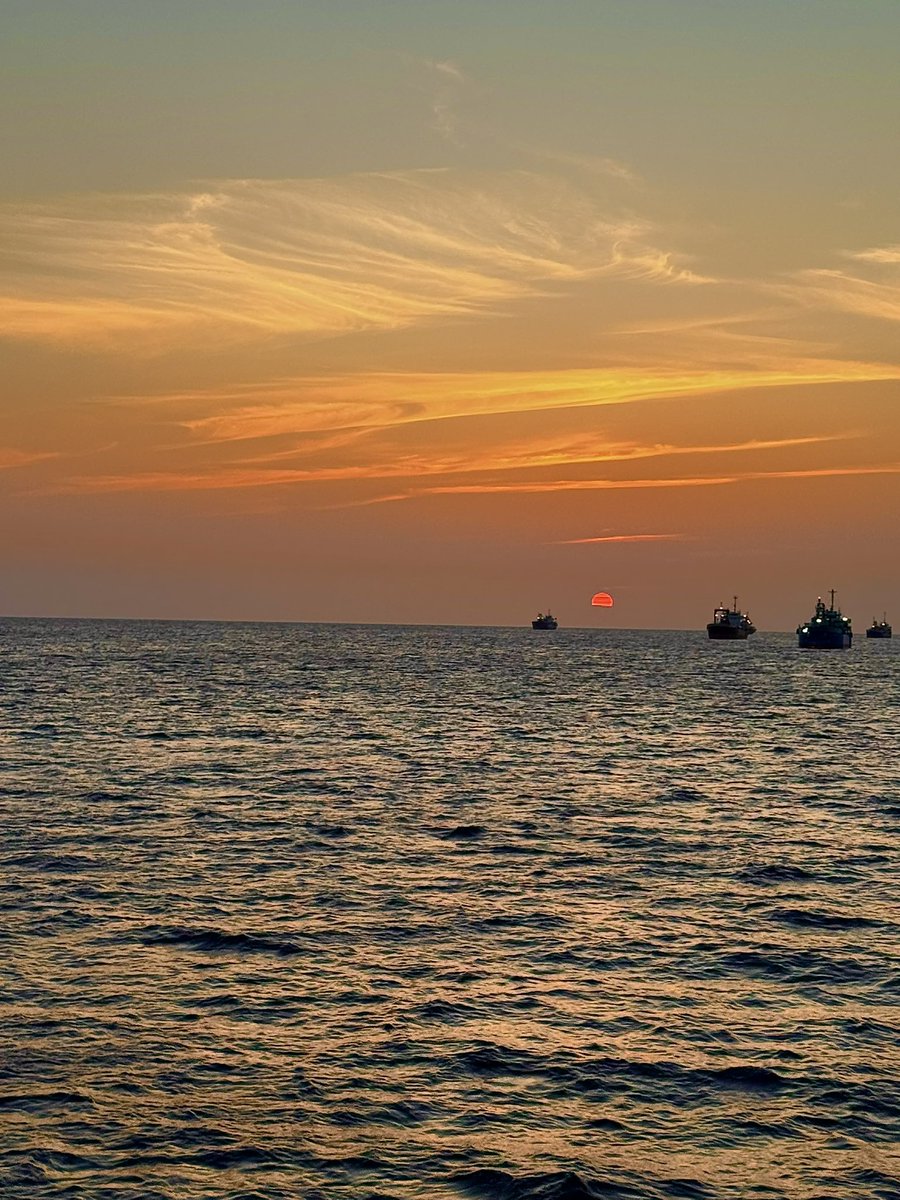 ︎︎☺︎motu︎︎【モツ】 tweet media