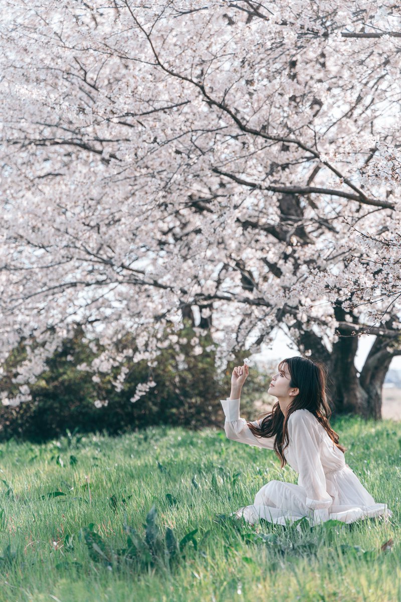 Ryu (@ryumarron3) / Posts / X