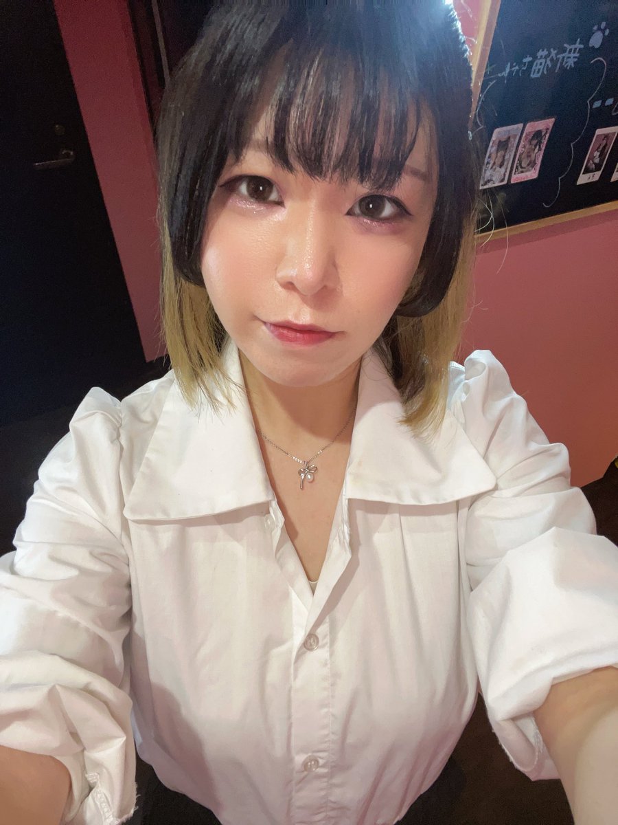 ふく@みけねこカフェ秋葉原店 tweet media