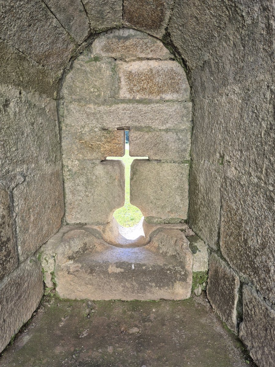 Mauricio Corrêa da Veiga tweet media