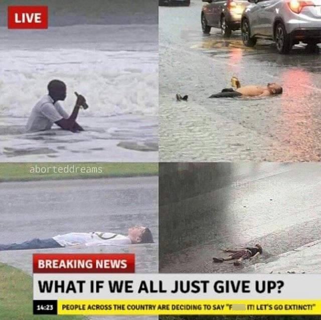 ✨Ms_Ashhole ✨ tweet media