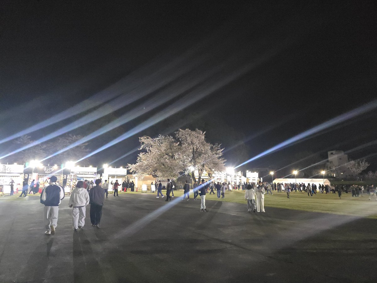 お花見というなのラーメン祭