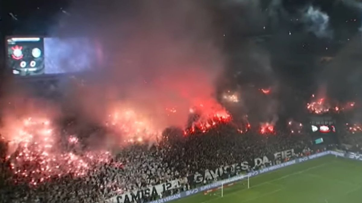 Jornal Palestrino tweet media