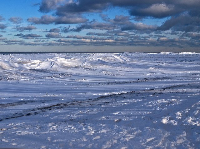 birchbin tweet media