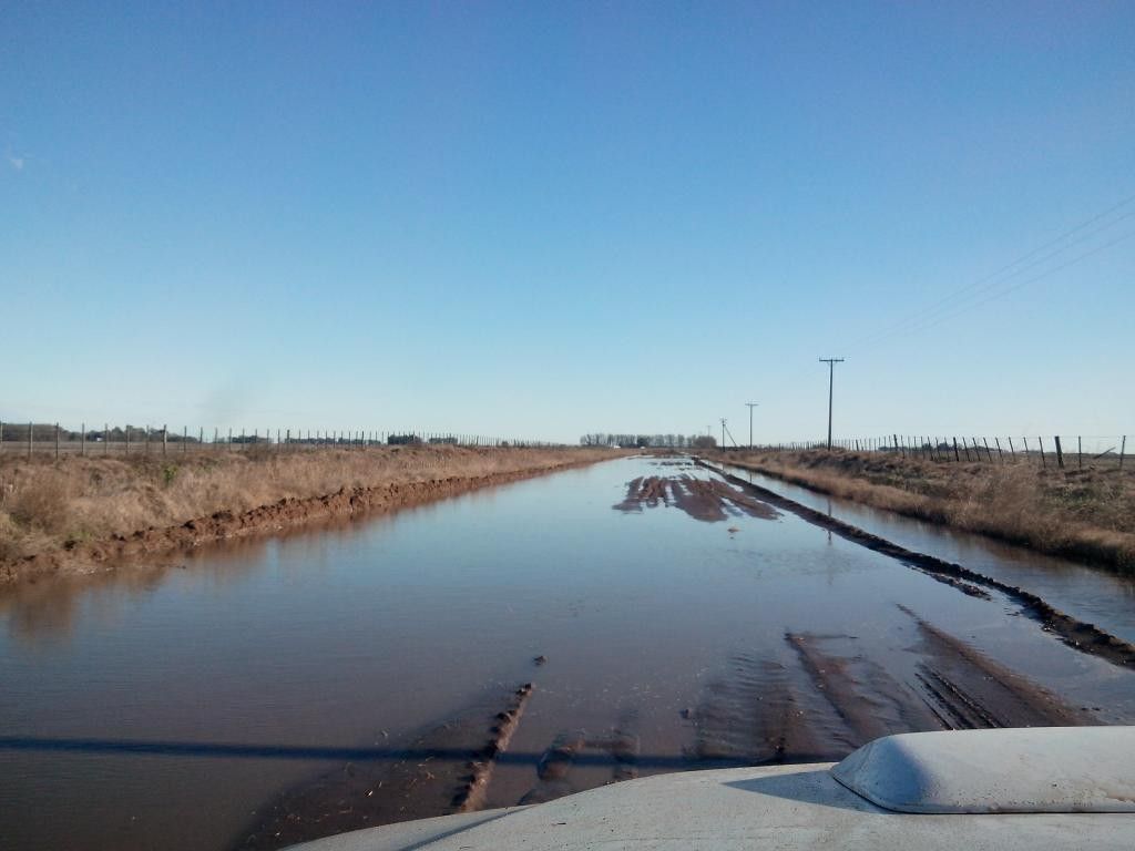 Infonoroeste tweet media