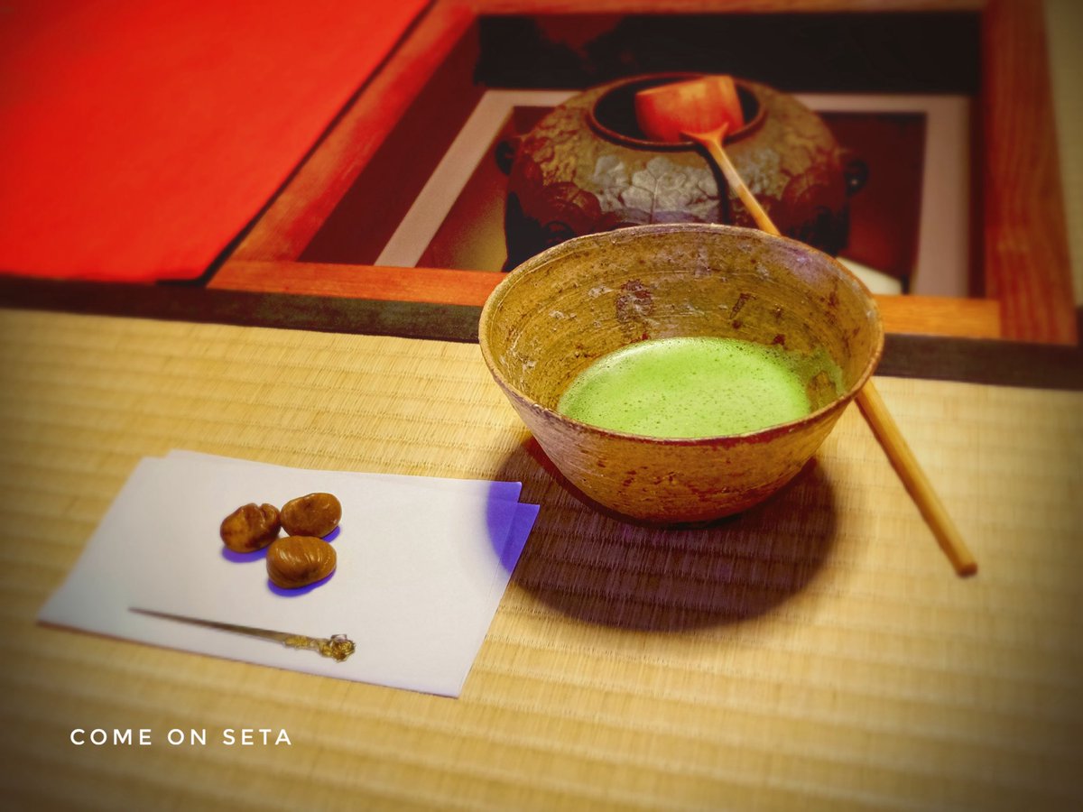 瀬田掃部 tweet media