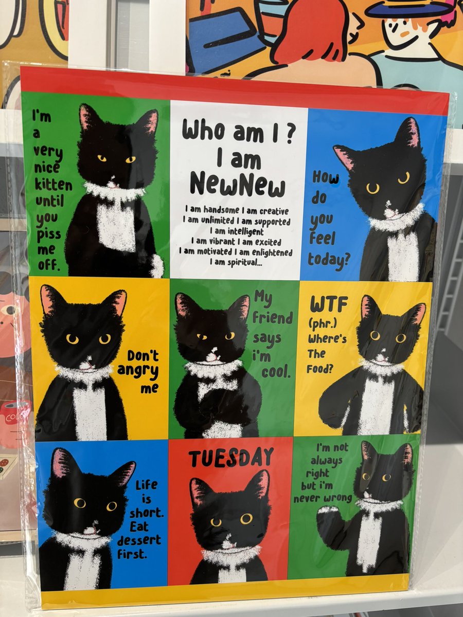 流浪猫 tweet media