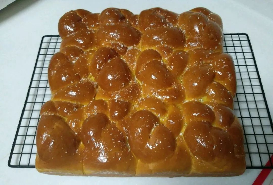 rocio garcia tweet media