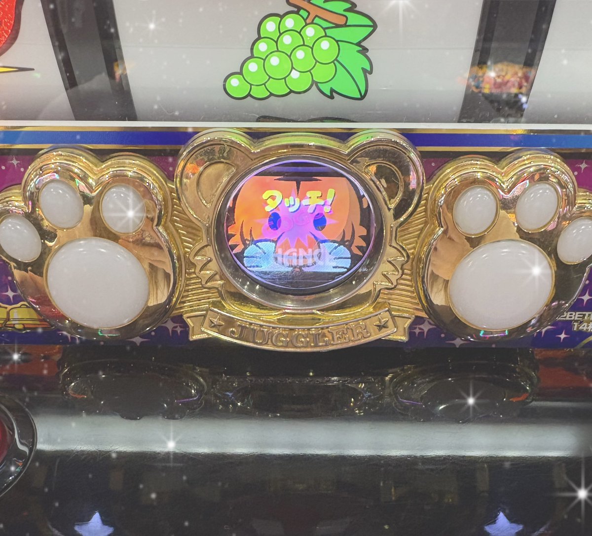 きちゃん tweet media