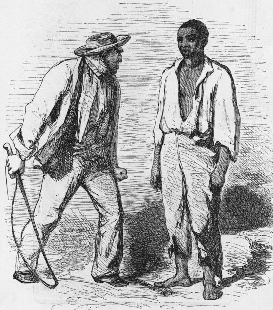 PampDussy tweet media