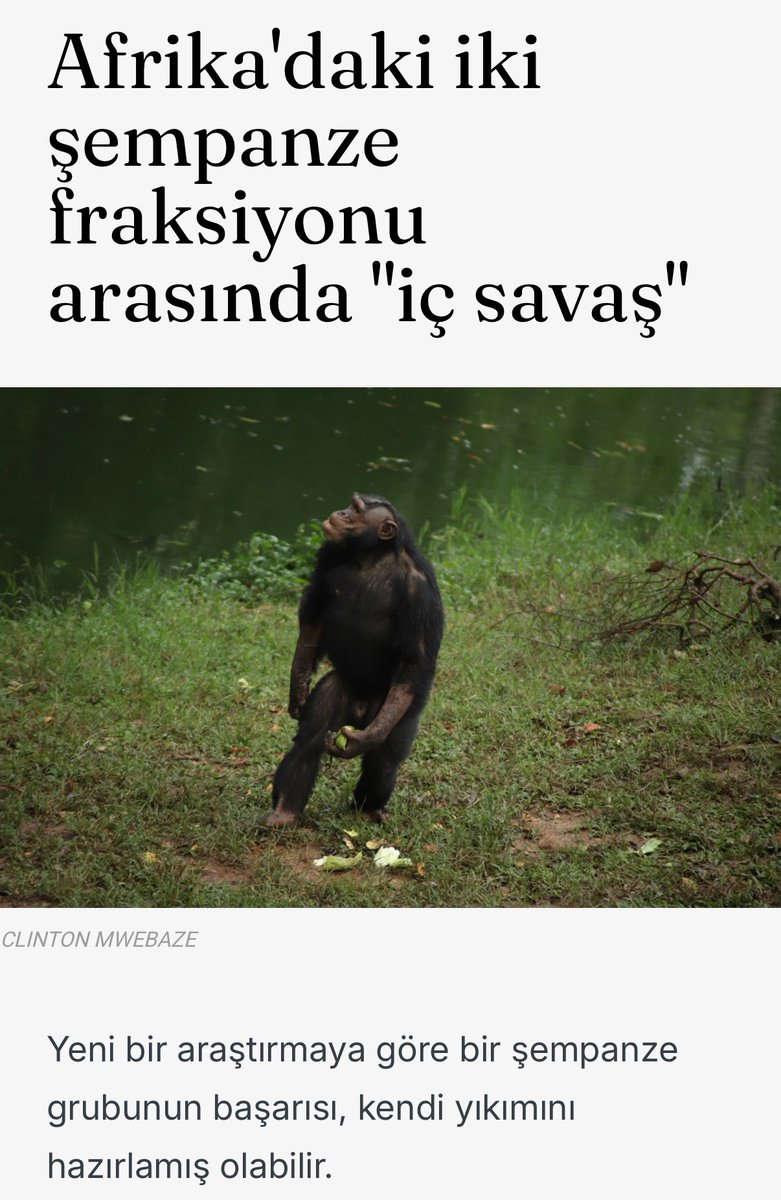 Av. Fatih Çil tweet media