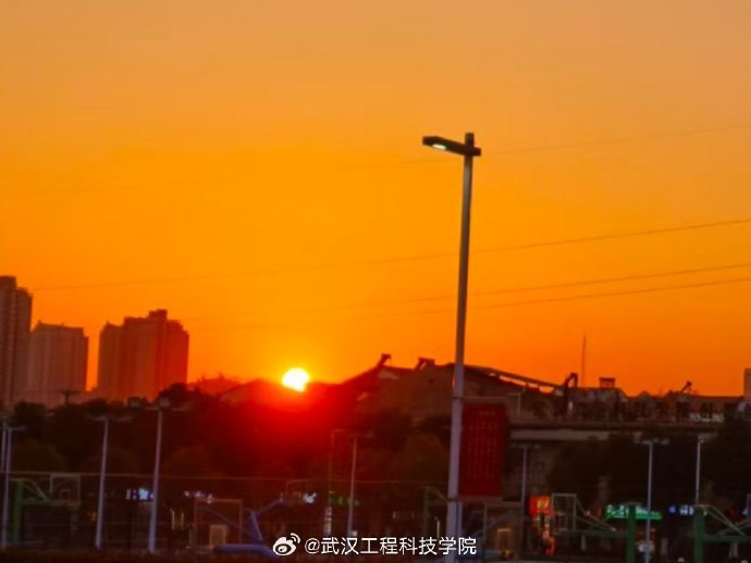 vicky hu tweet media