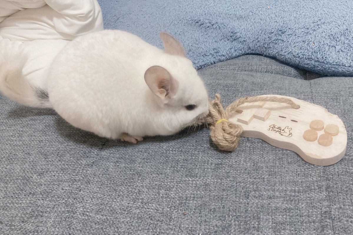 このフォルムがかわいい