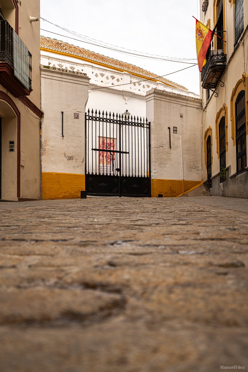 Manuel Fernández tweet media