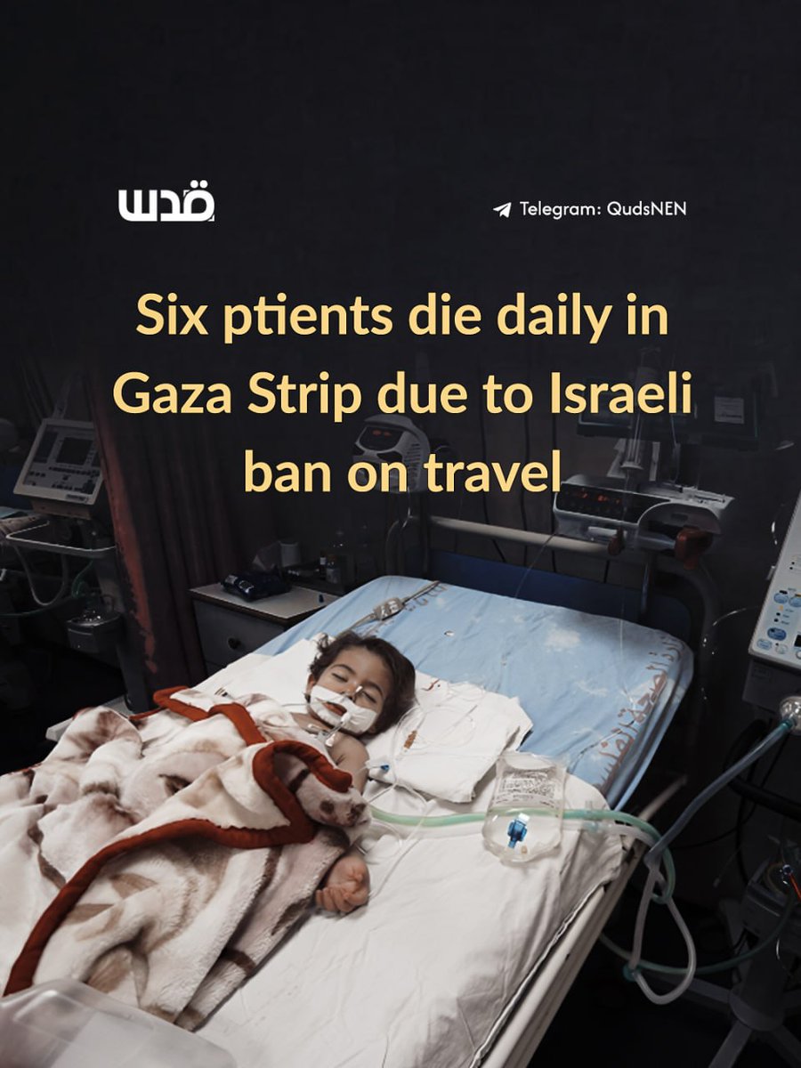 Quds News Network tweet media