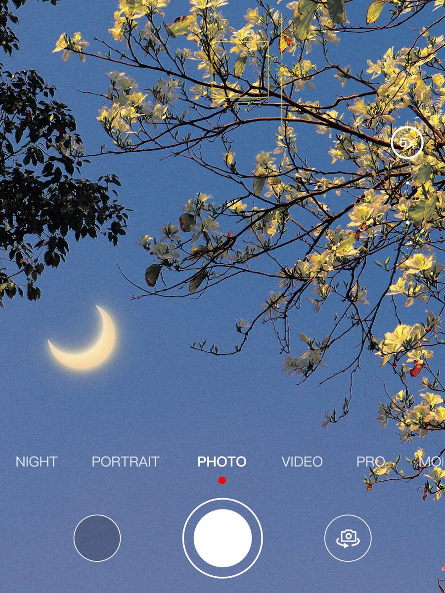 Jessica Wenzel tweet media