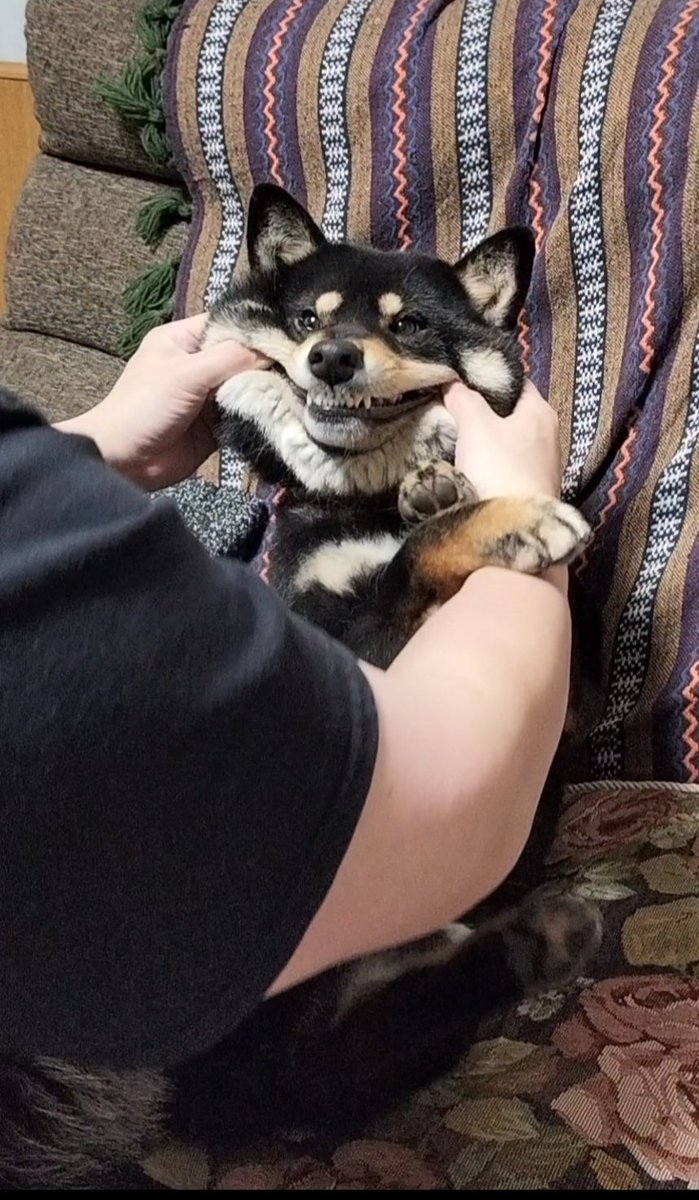 ｸﾜｯ