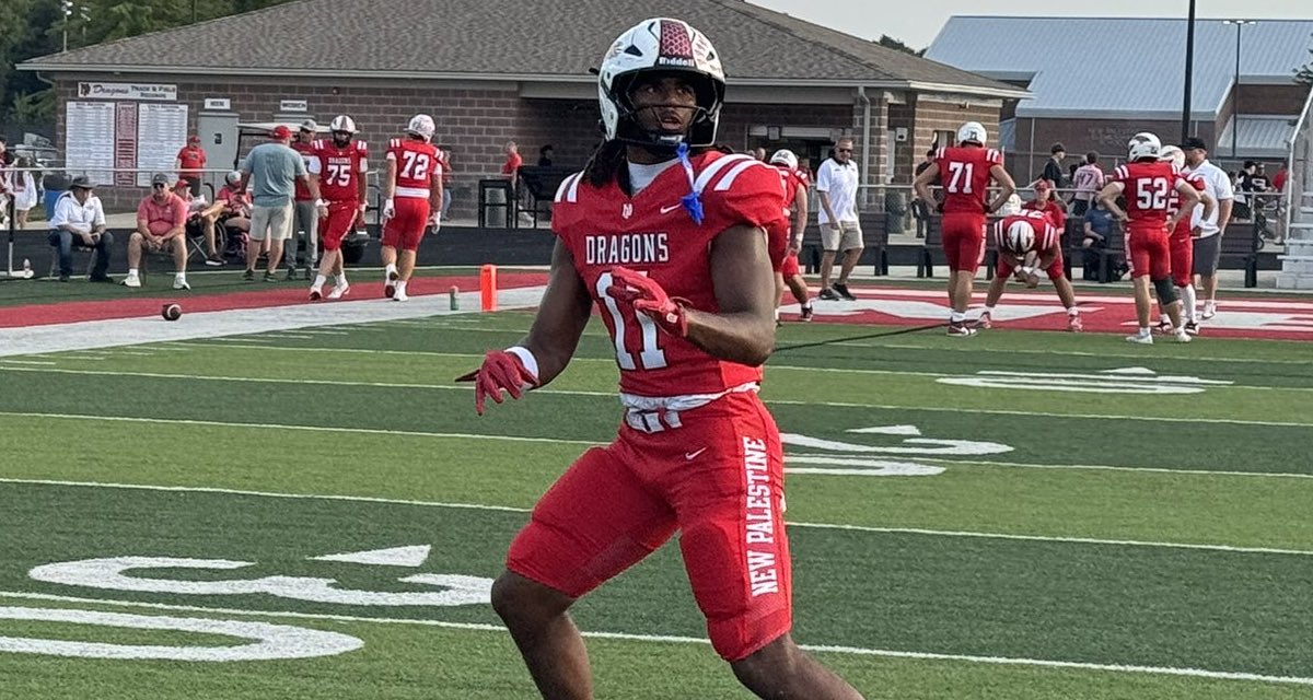 Steve Wiltfong tweet media