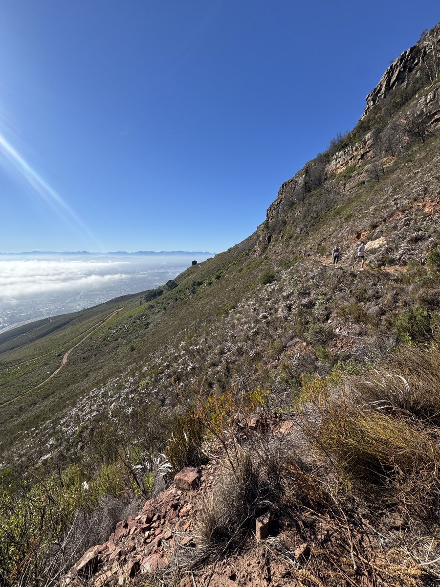 Charlotte’s Mum tweet media