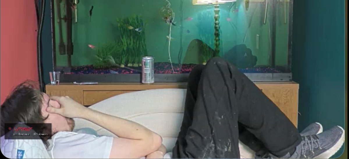 drowzee1 tweet media