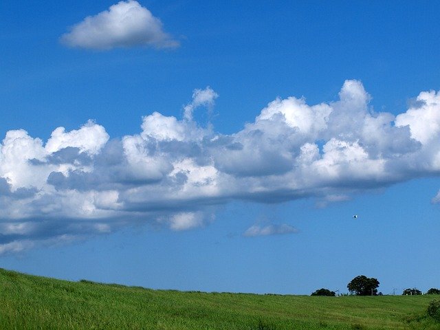 Amy Edwards tweet media