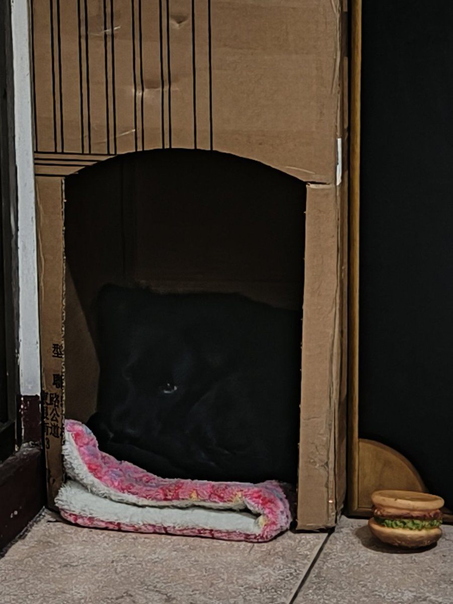 Magic_arbor🔞🇹🇼 tweet media