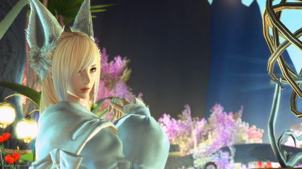 かな🐱 tweet media