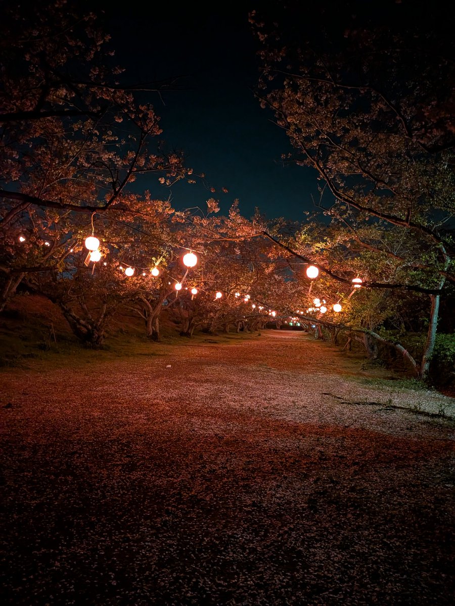 Azuel449(ゆめちゃん) tweet media