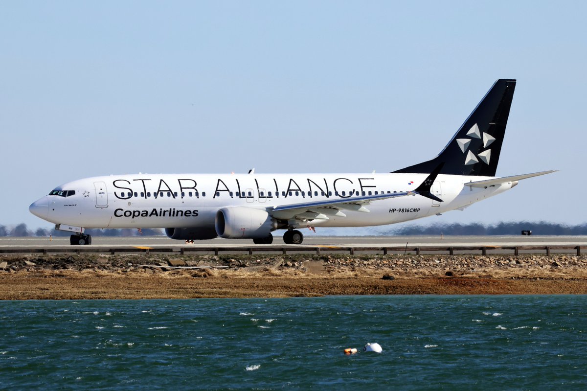 airwaysmagazine's tweet image. Copa Airlines Boeing 737-8 (HP-9816CMP) in Star Alliance livery at Boston Logan (BOS). 

📸: Darryl Sarno/ Airways    

#copaairlines #boeing #avgeek