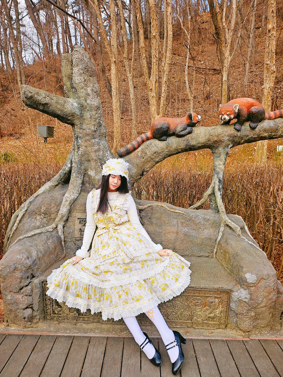 세라픽🪽 tweet media