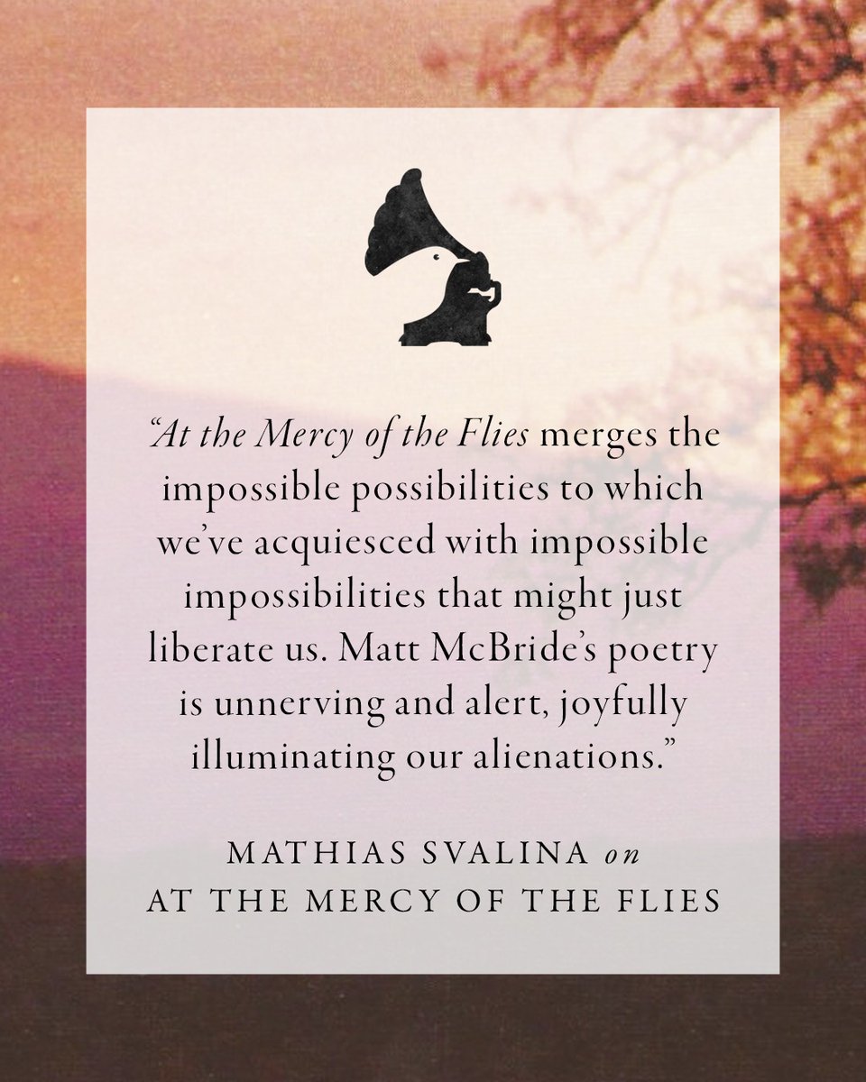 Matt McBride tweet media